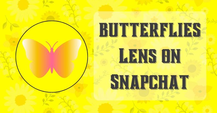butterflies Lens on Snapchat