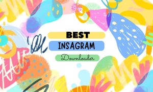 Best Instagram Downloader
